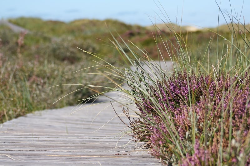 Hiking Path